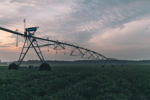 Economic Evaluation of the National Peanut Board Highlights Significant Positive Impact on U.S. Peanut Industry
