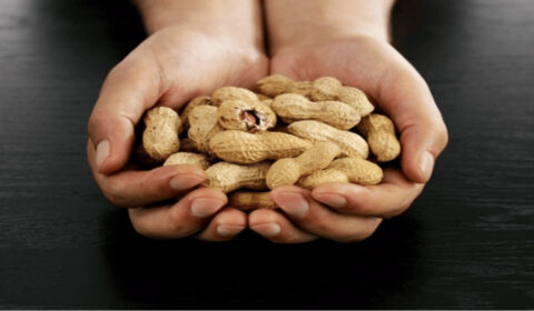 What the New 2025-2030 Dietary Guidelines for Americans Mean for Peanuts