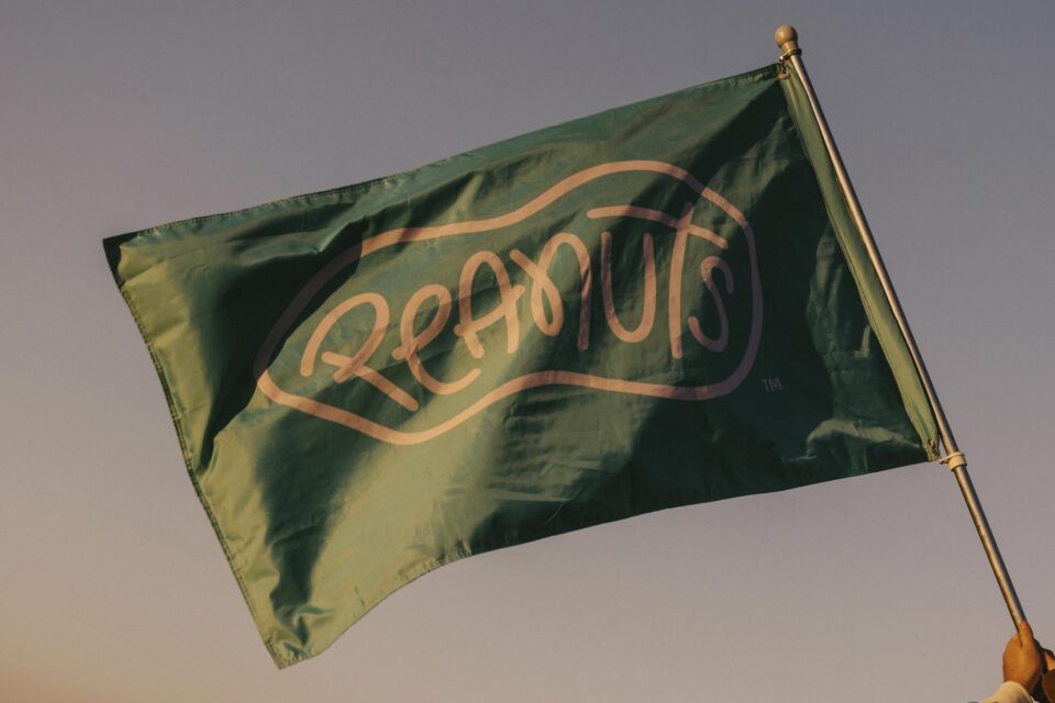 Flag with the peanuts logo