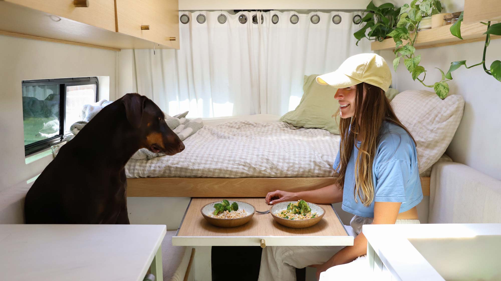 Pawfect Peanut &amp; Salmon Bowl | USA Peanuts